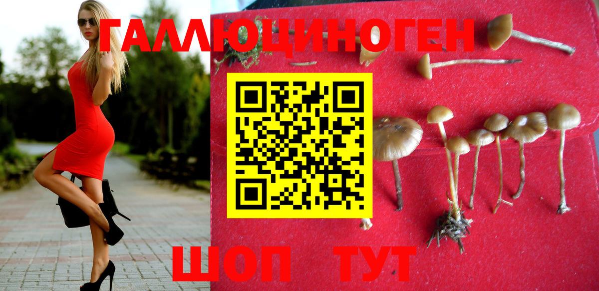 наркошоп  Галлюциногенные грибы мухоморы  Вход с VPN  Малгобек 