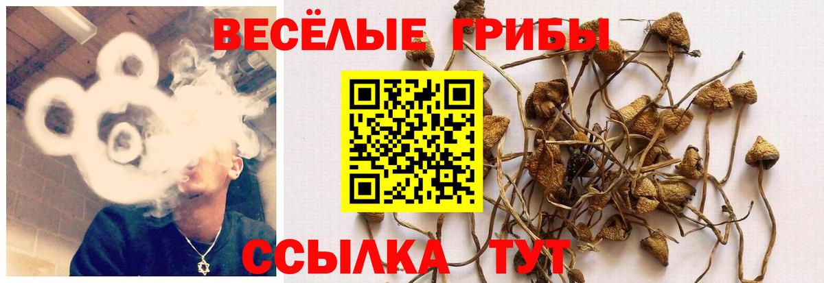 Галлюциногенные грибы Magic Shrooms Малгобек